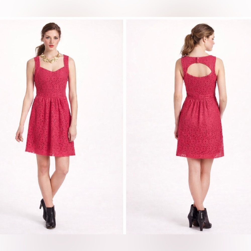 Anthropologie Deletta Pink Lace‎ Fit and Flare Dress with Keyhole Back Sz. M